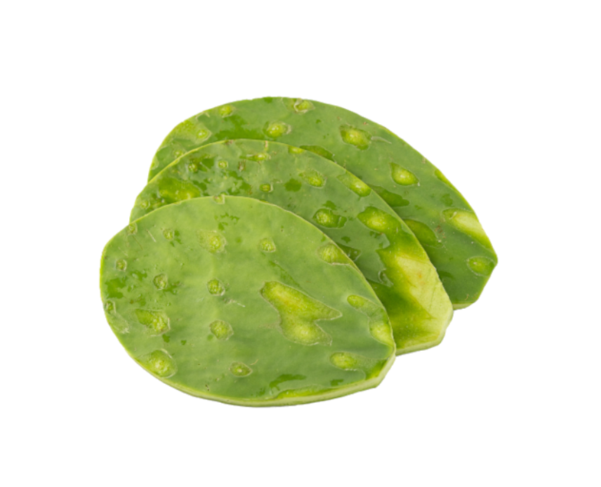 Nopal Cambray